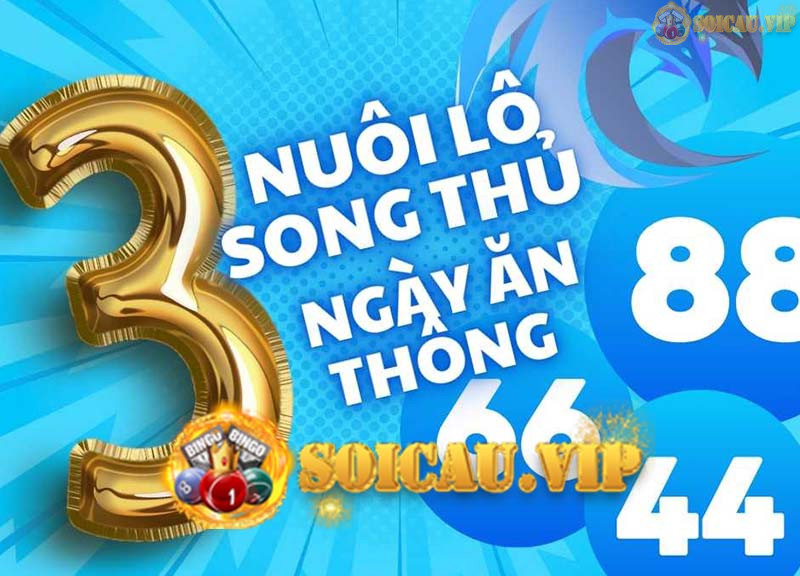 Nuôi song thủ lô khung 3 ngày