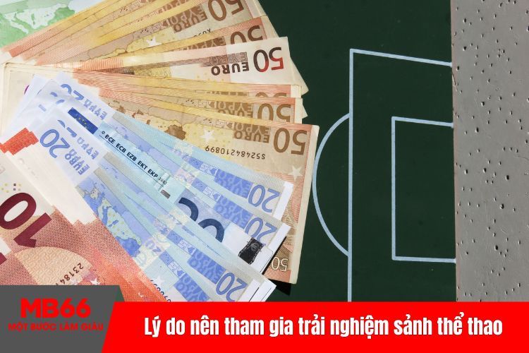 Lý do nên tham gia trải nghiệm sảnh thể thao
