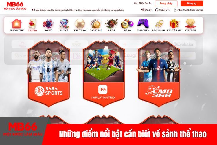 Những điểm nổi bật cần biết về sảnh thể thao