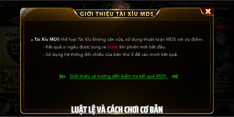 Quy tắc cơ bản người mới cần phải ghi nhớ trước khi bắt đầu