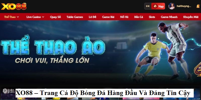 XO88 – Trang Cá Độ Bóng Đá Hàng Đầu Và Đáng Tin Cậy