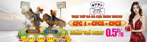 Tầm nhìn phát triển sv368