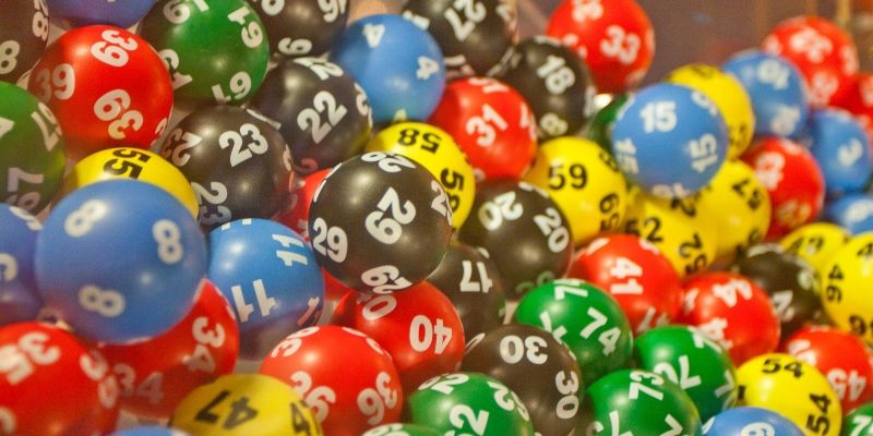 Những đặc điểm nổi bật