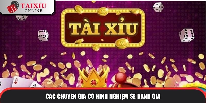 Các chuyên gia có kinh nghiệm sẽ đánh giá