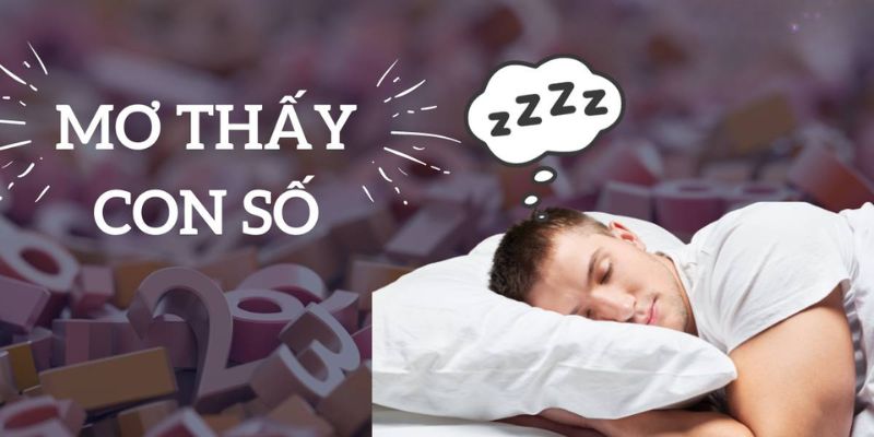 Các giấc mơ khác và con số may mắn liên quan