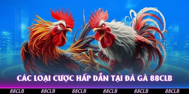Các loại cược hấp dẫn tại Đá Gà 88CLB.
