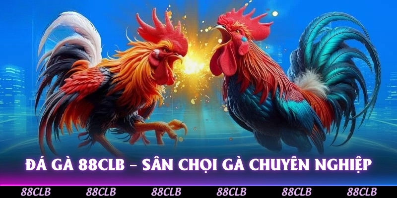 Đá Gà 88CLB