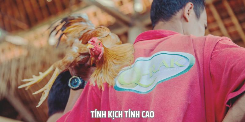 Tính hấp dẫn của trò chơi là tận hưởng những phút giây kịch tính