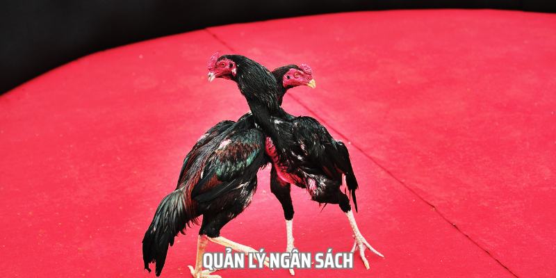 Hãy quản lý ngân sách hiệu quả