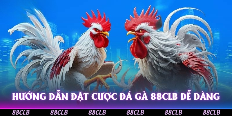 Hướng dẫn đặt cược Đá Gà 88CLB dễ dàng
