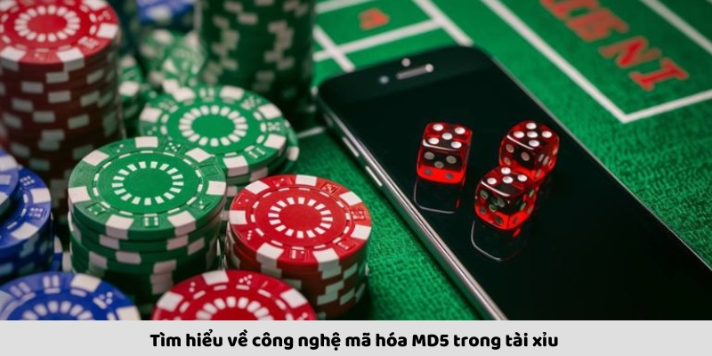Tài Xỉu MD5 – Trò Chơi Công Bằng