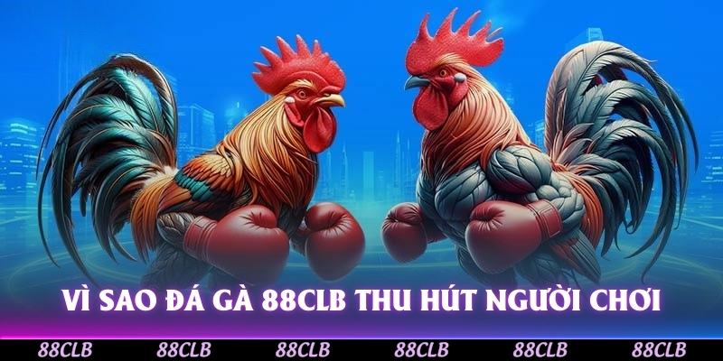 Vì sao Đá Gà 88CLB thu hút đông đảo người chơi?