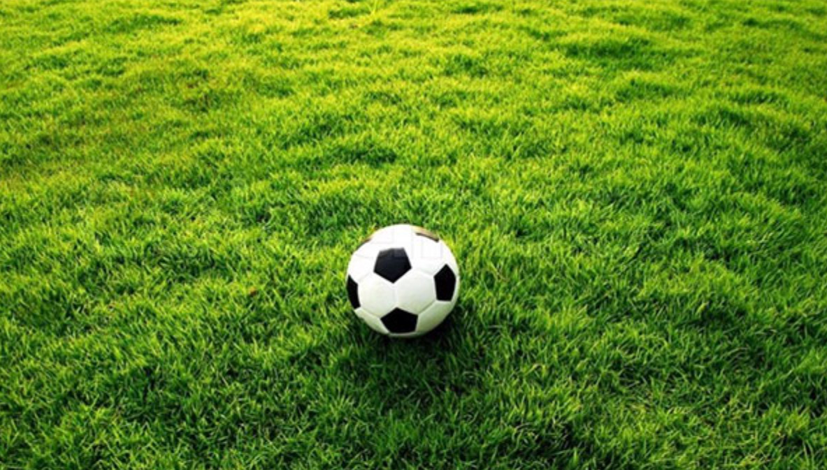 Lợi ích của việc tham gia cá cược trên sân cỏ bóng đá là gì?