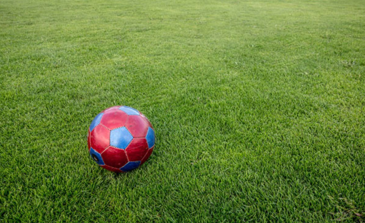 Bí quyết đạt hiệu suất cao khi phân tích tỷ lệ cược trong bóng đá sân cỏ.