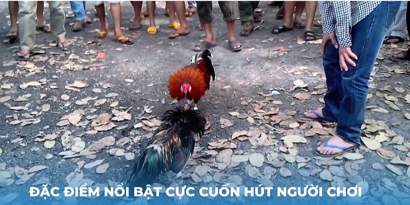 Các ưu điểm nổi bật cực cuốn hút người chơi đá gà cựa sắt Thabet