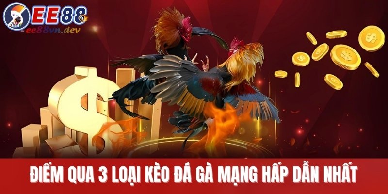 Điểm qua 3 loại kèo đá gà mạng hấp dẫn nhất