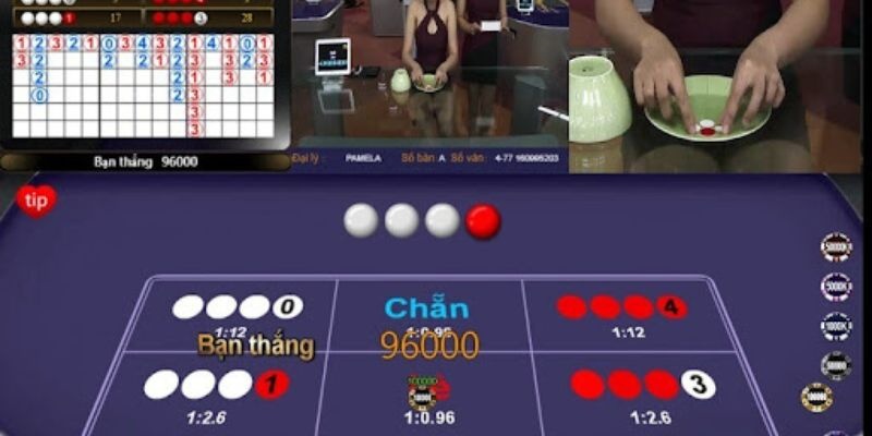 Luật chơi xóc dĩa VN88 cho người mới