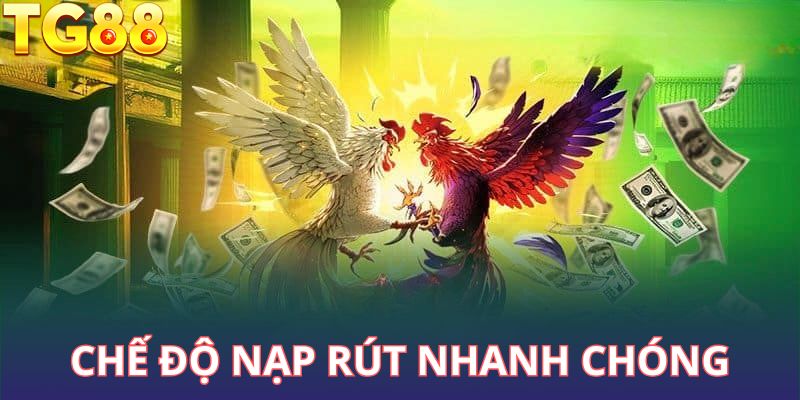 Hệ thống thanh toán nhanh đem lại sự thuận tiện cho người chơi