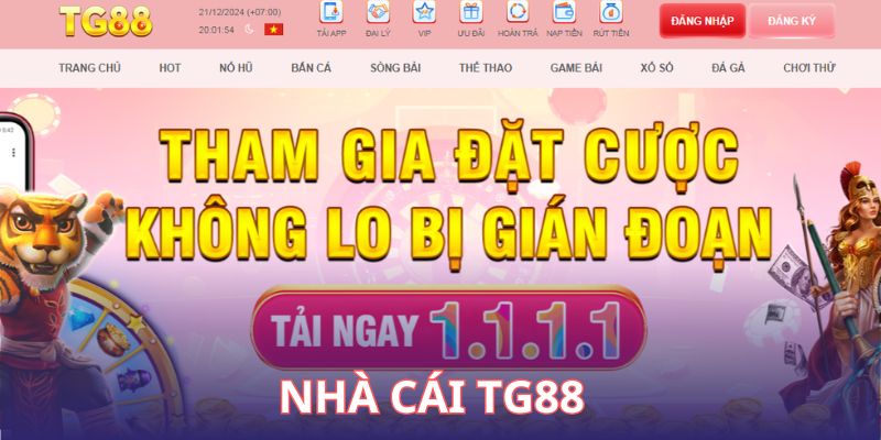 TG88 được đánh giá là một nhà cái đá gà uy tín