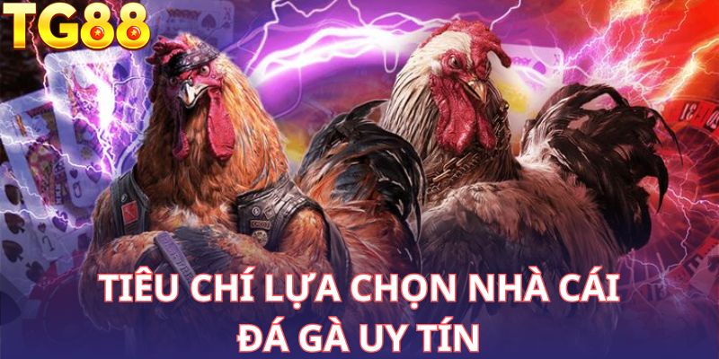 Những yếu tố quyết định nhà cái đá gà uy tín