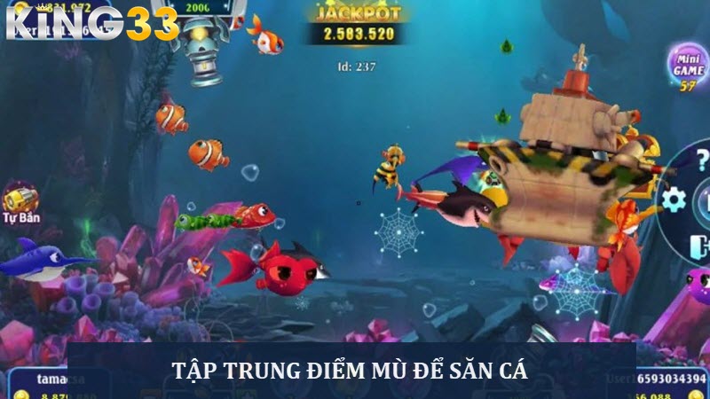 Tập trung vào điểm mù của cá để nhanh hạ gục mục tiêu