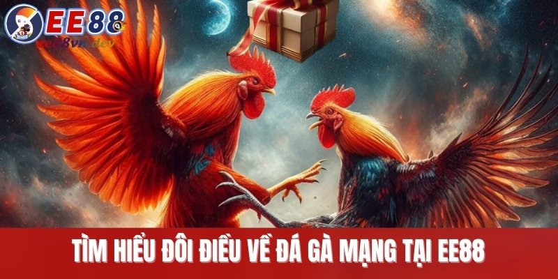 Tìm hiểu đôi điều về đá gà mạng tại EE88