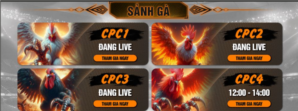  Đá Gà Campuchia Tại 368Bet
