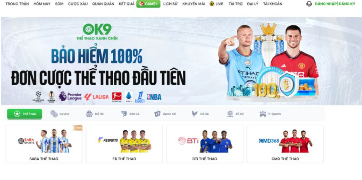 Đắm chìm trong cá cược thể thao tại OK9