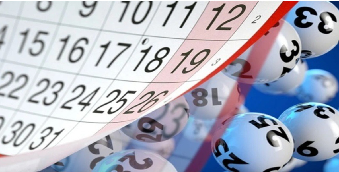 Tại sao nên nuôi dàn đề?