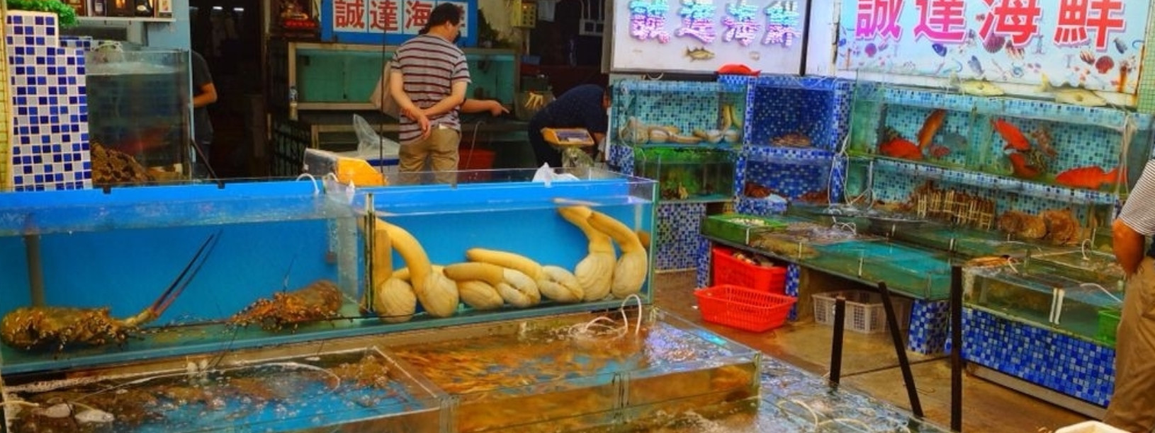 Cùng Luckywin Khám Phá "Thủy Cung Trên Cạn