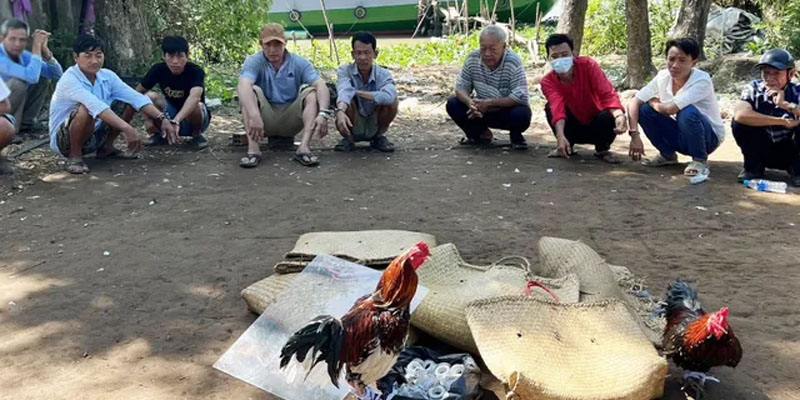 Đá Gà Miền Tây