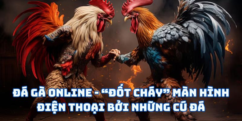 Đá Gà Online