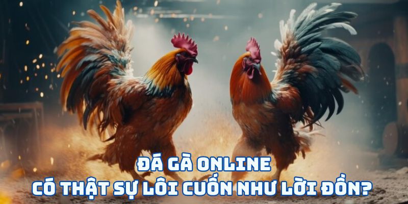 Đá gà online có thật sự lôi cuốn như lời đồn? 