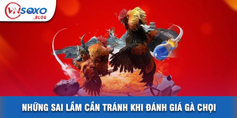 Những Sai Lầm Cần Tránh Khi Đánh Giá Gà Chọi