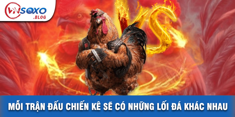 Mỗi Trận Đấu Chiến Kê Sẽ Có Những Lối Đá Khác Nhau