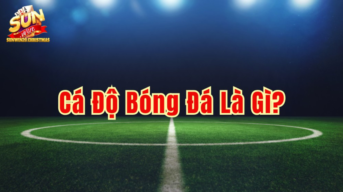 Những Điều Cần Biết Về Cá Độ Bóng Đá