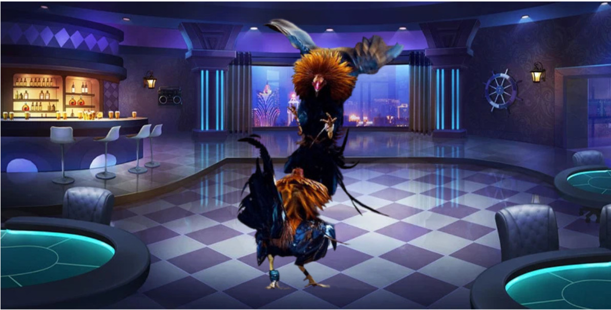 Trải nghiệm đá gà AE888