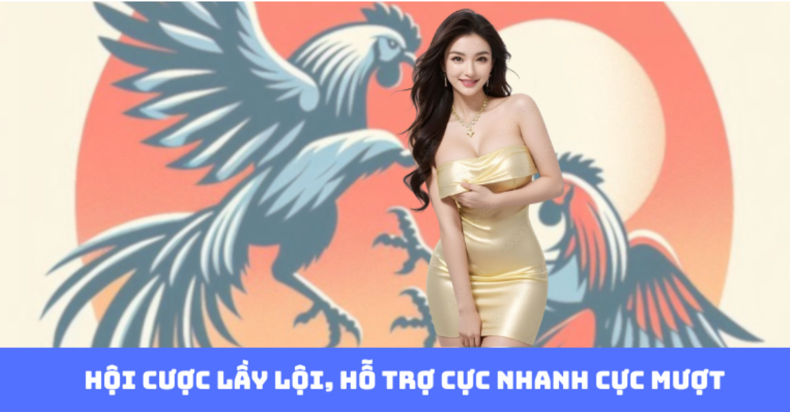 Hội cược lầy lội, hỗ trợ cực nhanh cực mượt