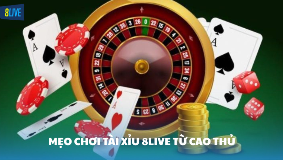 Mẹo chơi tài xỉu 8Live từ cao thủ