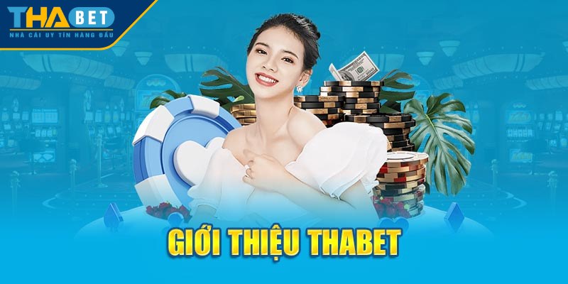 Đánh giá giấy phép hoạt động và pháp lý của THABET