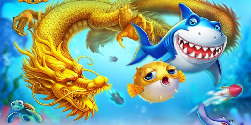 Những loài cá đặc biệt mang lại phần thưởng lớn tại BK8