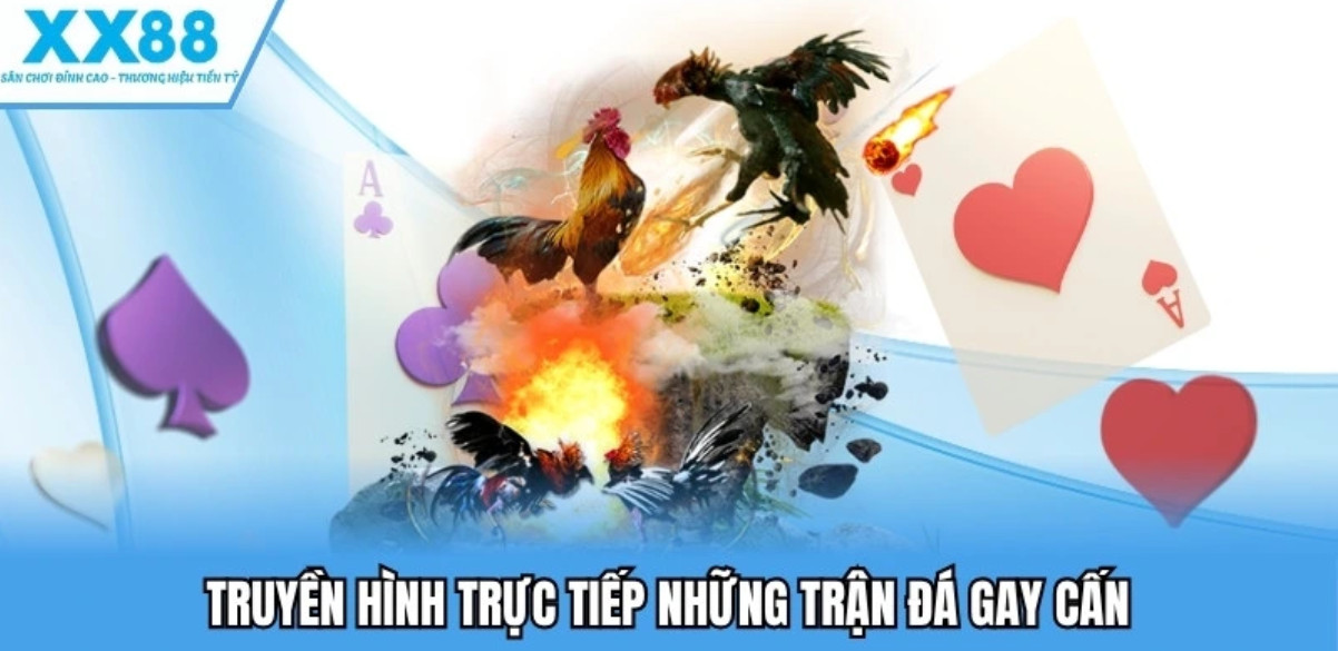 Tỷ lệ cược linh hoạt – Tăng cơ hội ăn tiền