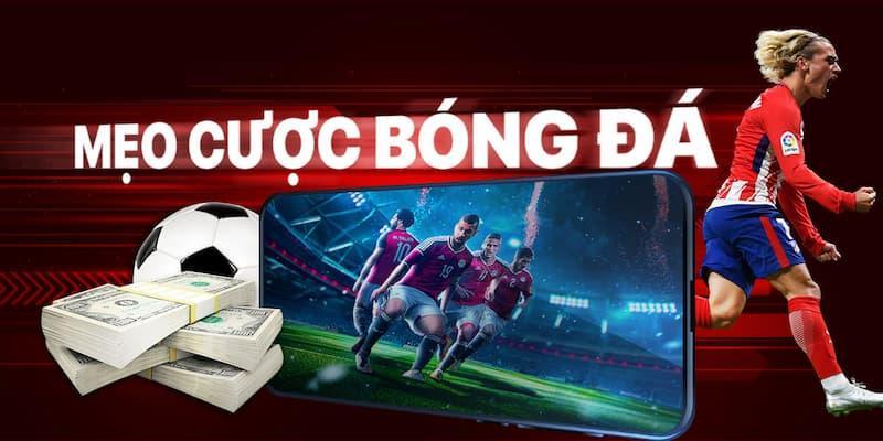 Mẹo cược siêu hay cho người mới chơi