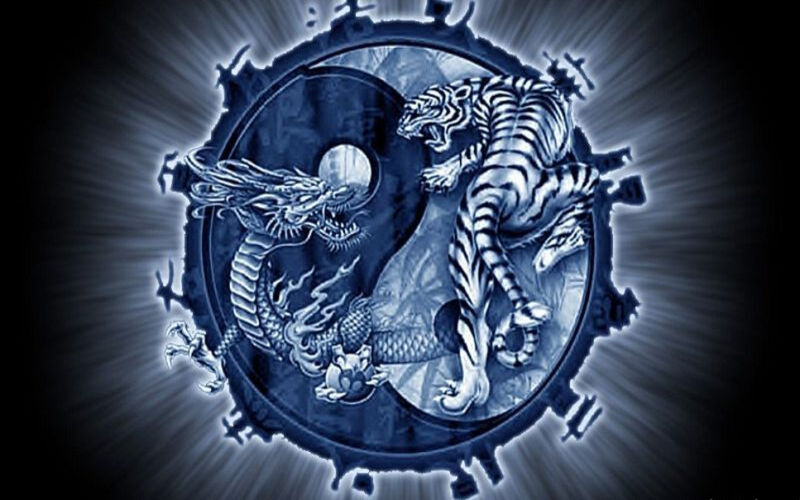 Rồng Hổ – Tốc độ quyết định kết quả