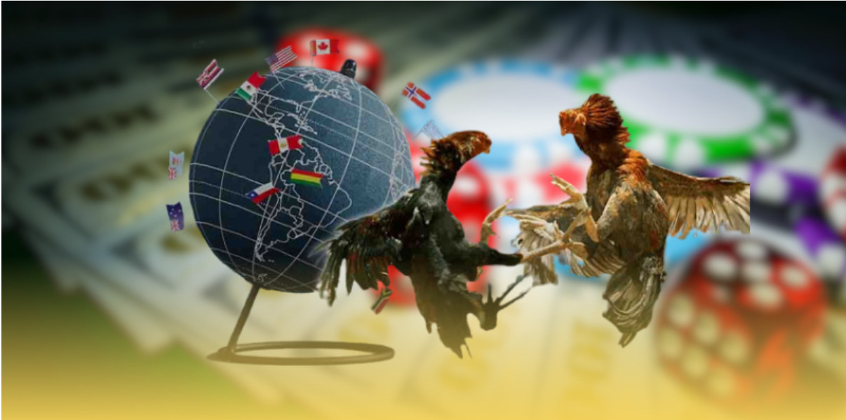 Các hình thức đá gà tại UU88