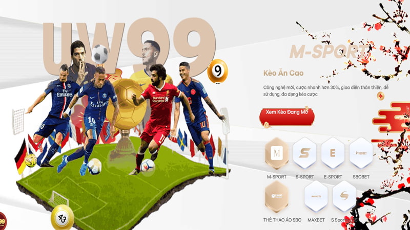 Trải nghiệm cá cược bóng đá – Hồi hộp nhưng an toàn