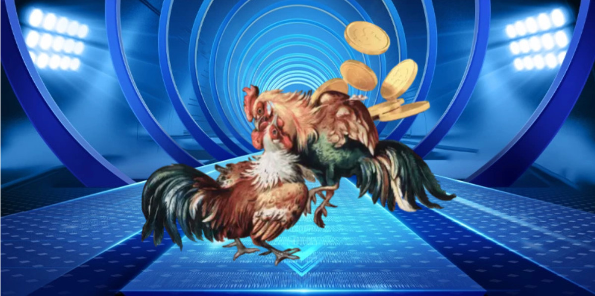 Kinh Nghiệm Soi Kèo Đá Gà Chọi Tại XX88