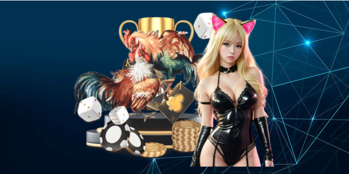 Kinh Nghiệm Soi Kèo Đá Gà Chuẩn Xác Tại XX88